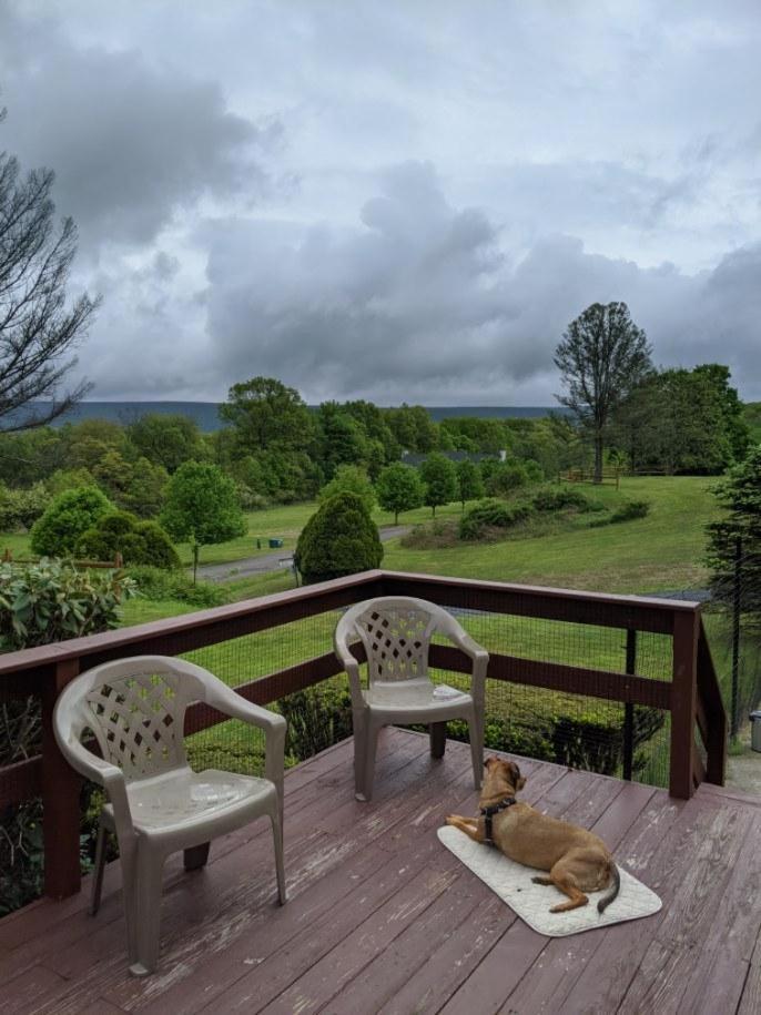 Fenced Yard Chalets From Good Dog Vacations At Big Valley Resort Sciota ภายนอก รูปภาพ